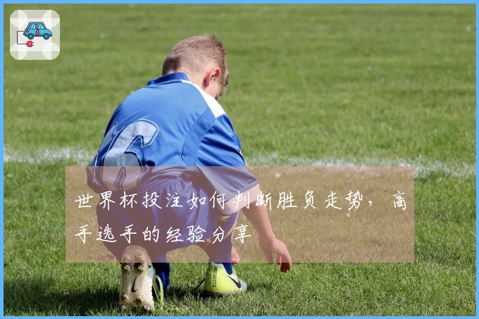 世界杯投注如何判断胜负走势，高手选手的经验分享