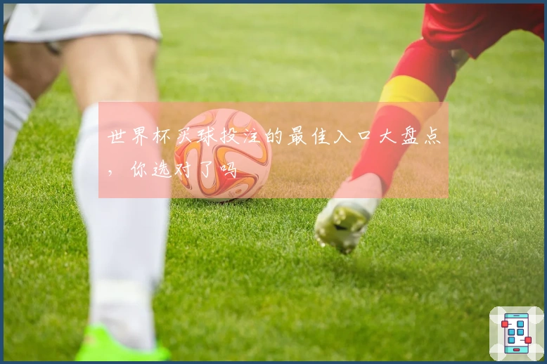 世界杯买球投注的最佳入口大盘点，你选对了吗