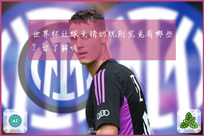 世界杯让球竞猜的规则究竟有哪些？你了解吗