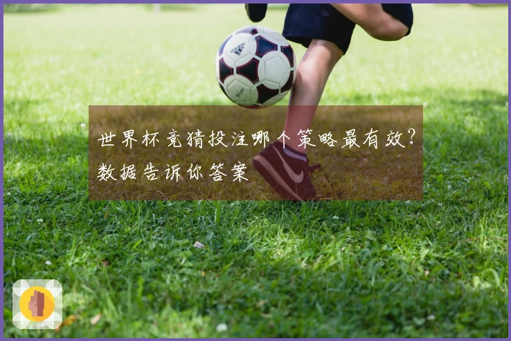 世界杯竞猜投注哪个策略最有效？数据告诉你答案