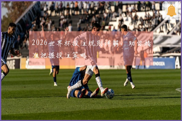 2026世界杯投注规则详解，助你精准把握投注策略