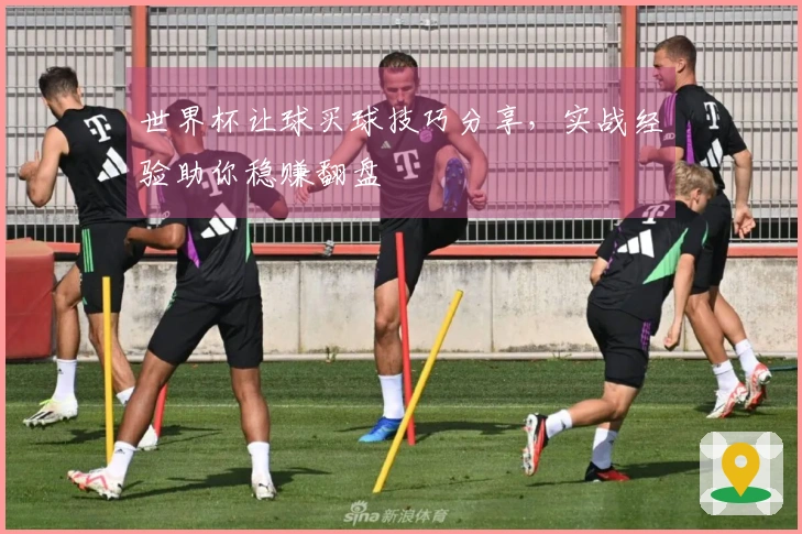 世界杯让球买球技巧分享，实战经验助你稳赚翻盘