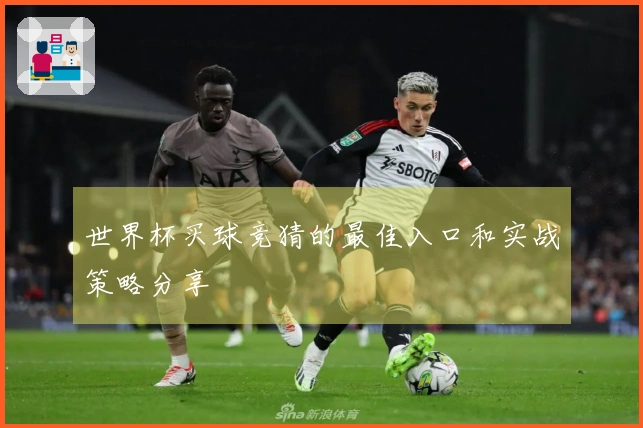 世界杯买球竞猜的最佳入口和实战策略分享