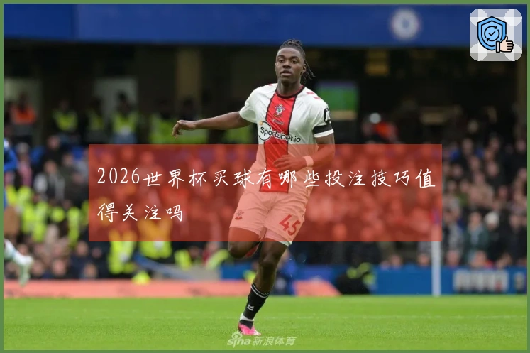 2026世界杯买球有哪些投注技巧值得关注吗