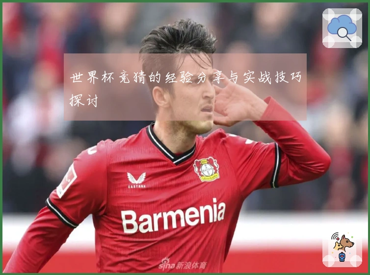 世界杯竞猜的经验分享与实战技巧探讨