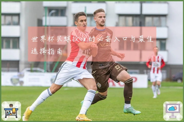 世界杯买球投注的必备入口与最佳选择指南