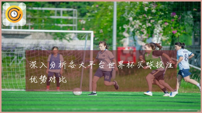 深入分析各大平台世界杯买球投注优势对比