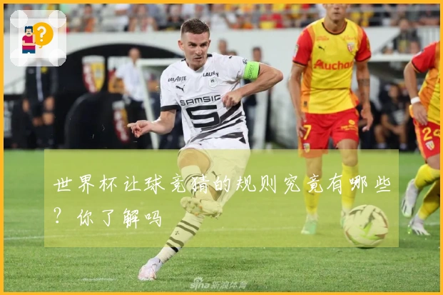 世界杯让球竞猜的规则究竟有哪些？你了解吗